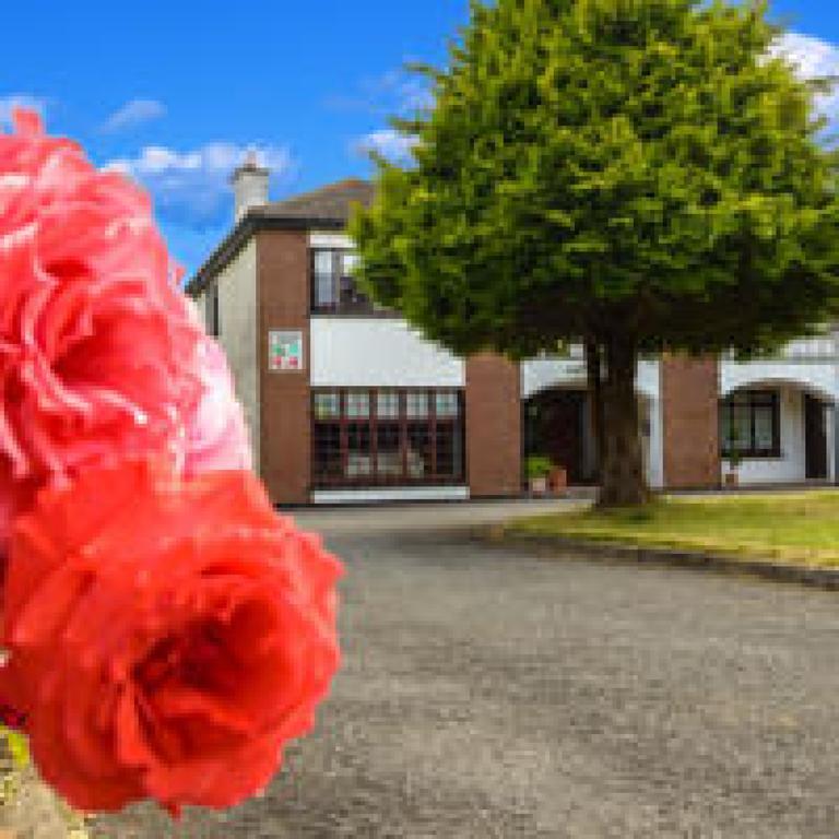 Killowen House B&B Drogheda Exterior photo